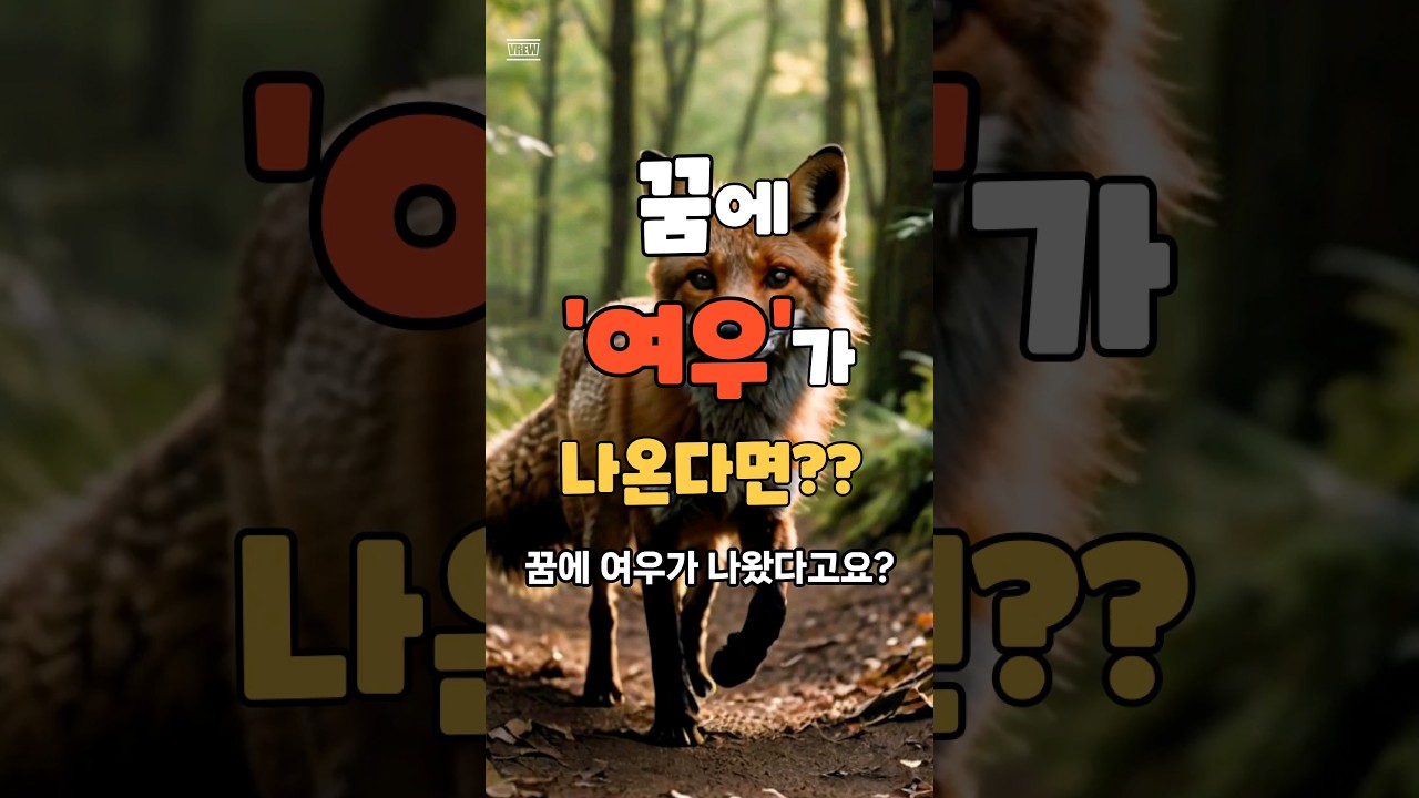 꿈에서 여우가 나온다면#해몽#꿈해석