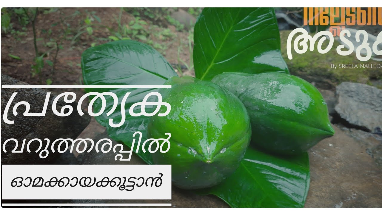 വറുത്തരവ്കറി|Howto make special pappaya CurrylRiceSpecialCurryl സ്പെഷൽഓമക്കായക്കൂട്ടാൻ|പപ്പായക്കറി