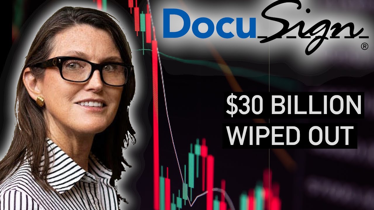 Взлет и падение Docusign