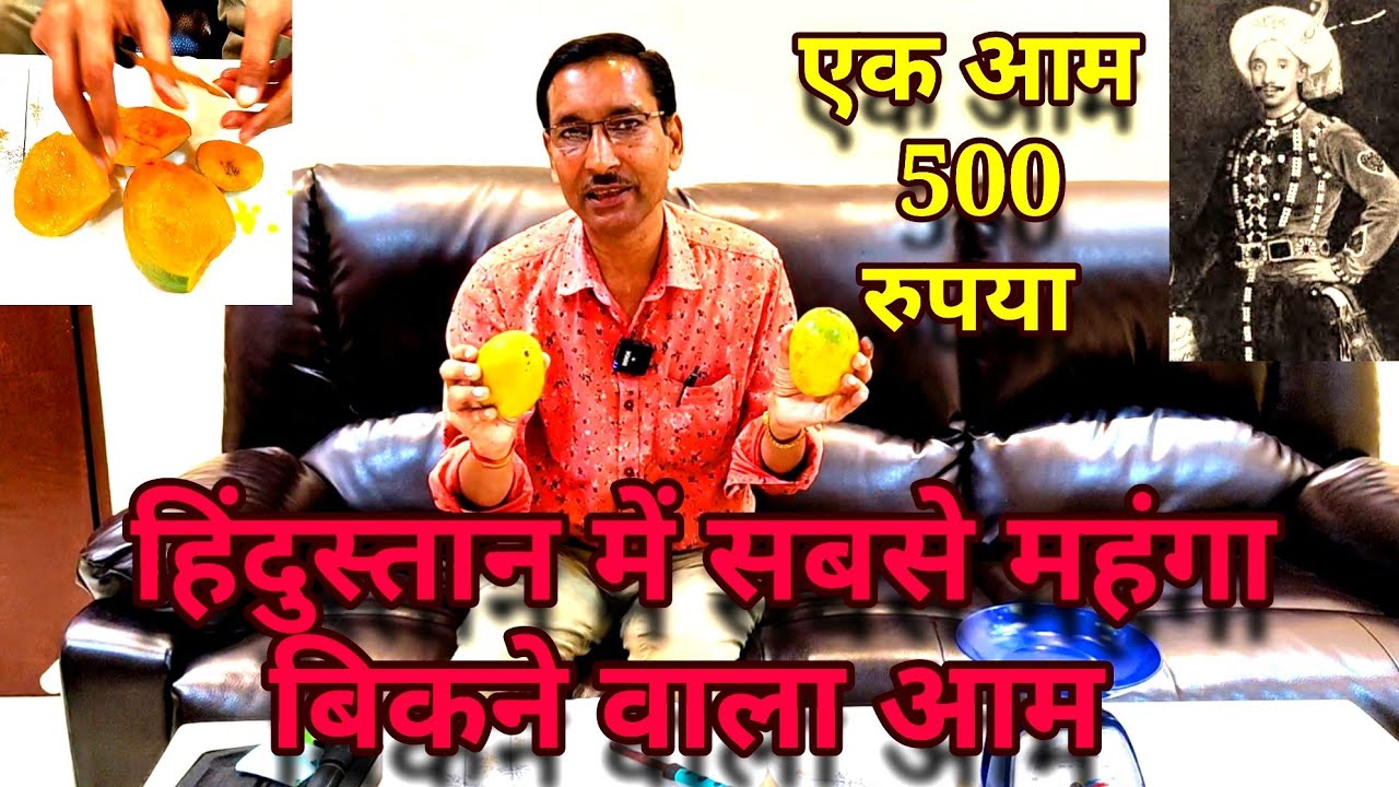 हिंदुस्तान का सबसे महंगा बिकने वाला आम। एक आम 500 रुपया । टेस्ट कैसा है। पौधा लगाना चाहिए या नहीं