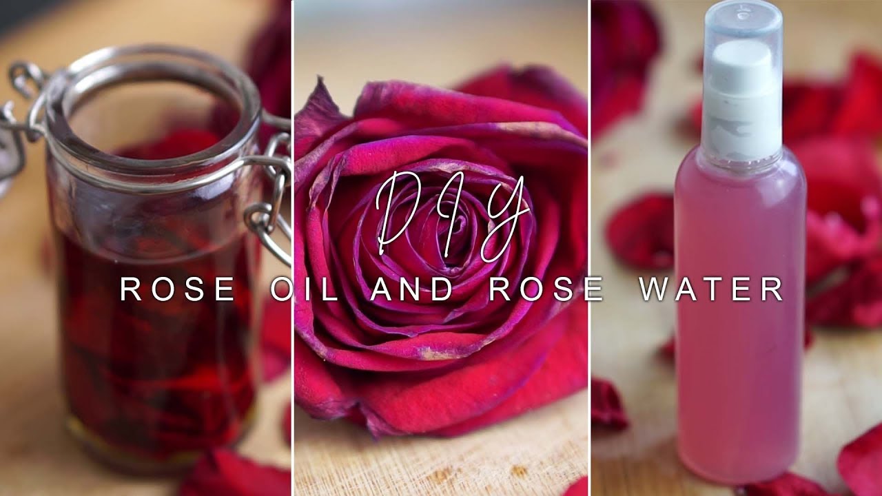 how to make  ROSE INFUSED OIL & ROSE WATER | DIY