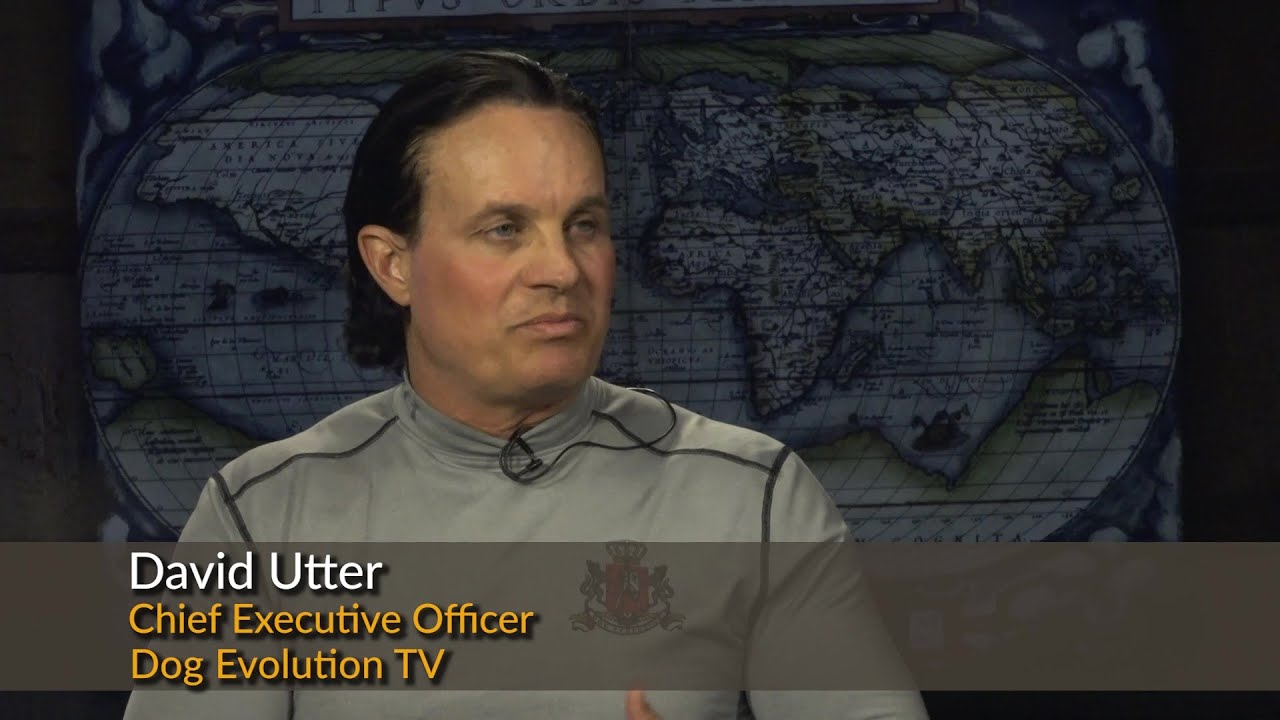 Dog and Human Interaction, David Utter, CEO Dog Evolution TV