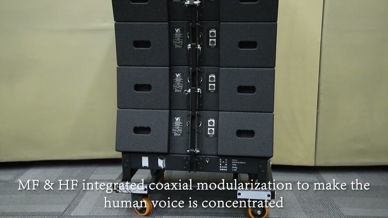 Pro 2 dual 10-inch 3-way passive line array