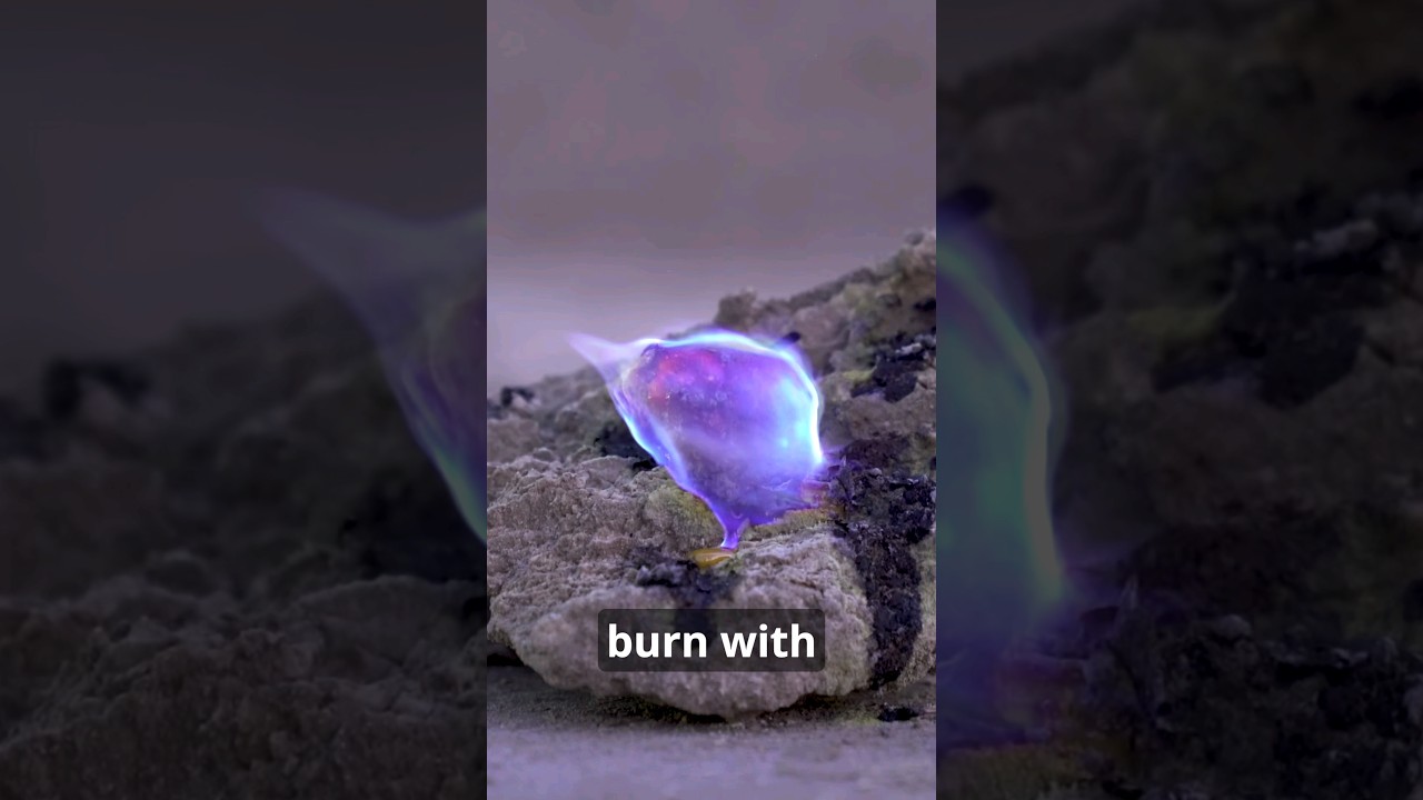 Sodom & Gomorrah Sulfur Balls Discovered! Discoveries by the Dead Sea - Full Video in Description