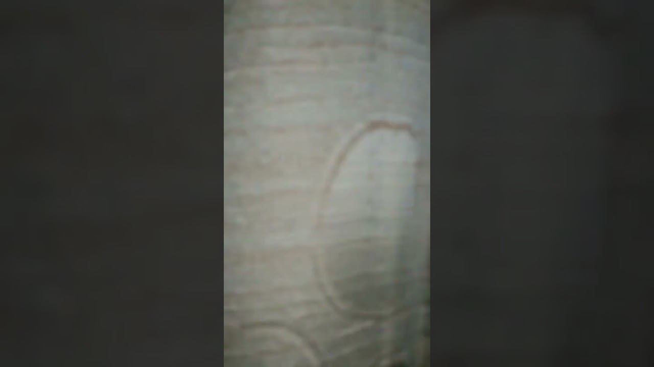 siddhar caught on camera/siddhar in real life /om namachivaayaa