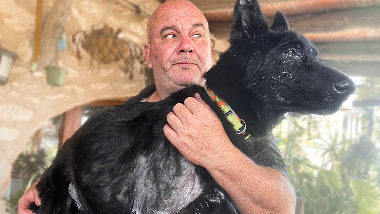 Un rescatador de animales maravilloso nos ha dejado… In Memoriam