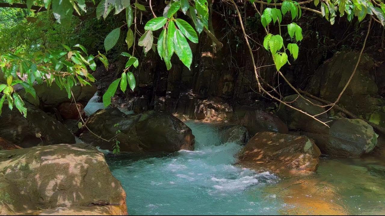 Relaxing River Flow Ambient Sounds for Sleeping | Nature Water for Peaceful Night Rest | 4K-HDR