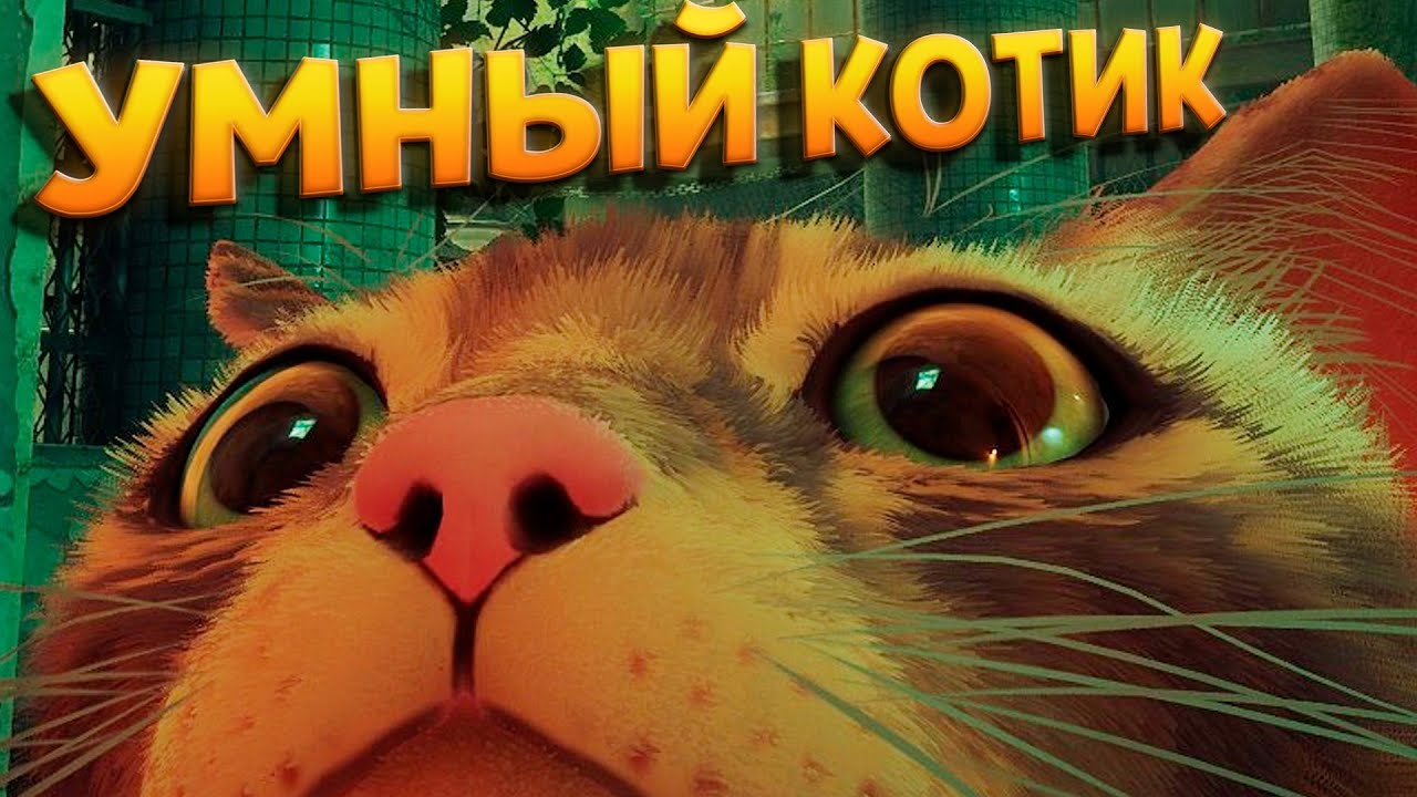 УМНЫЙ КОТИК ( Stray )