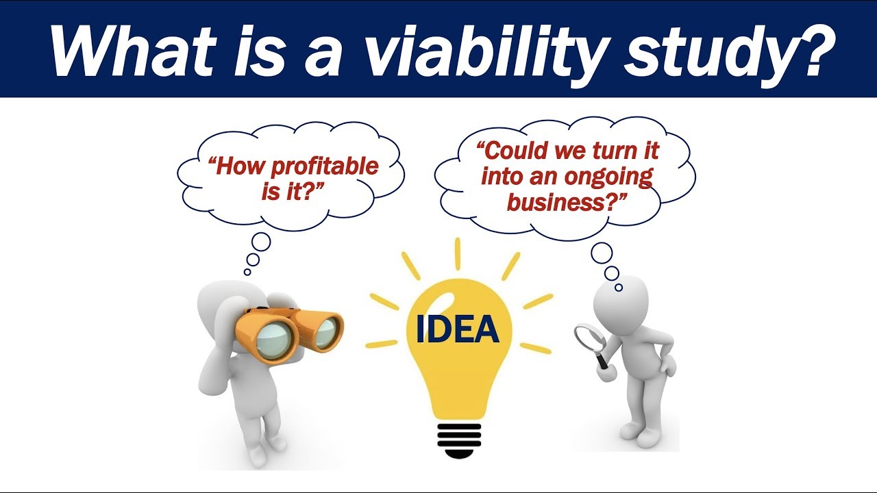 What is a Viability Study?
