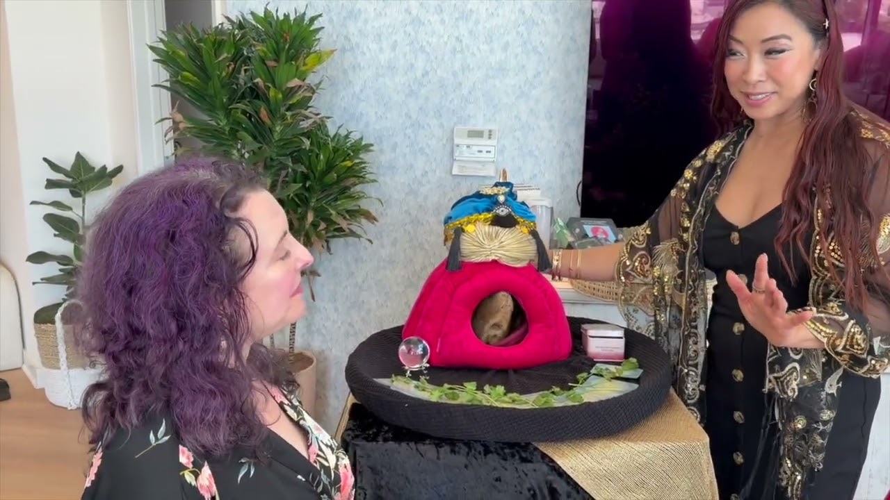 The Genie Pig Oracle Readings: Spirit Animal Deck 2026 by Christine Lee