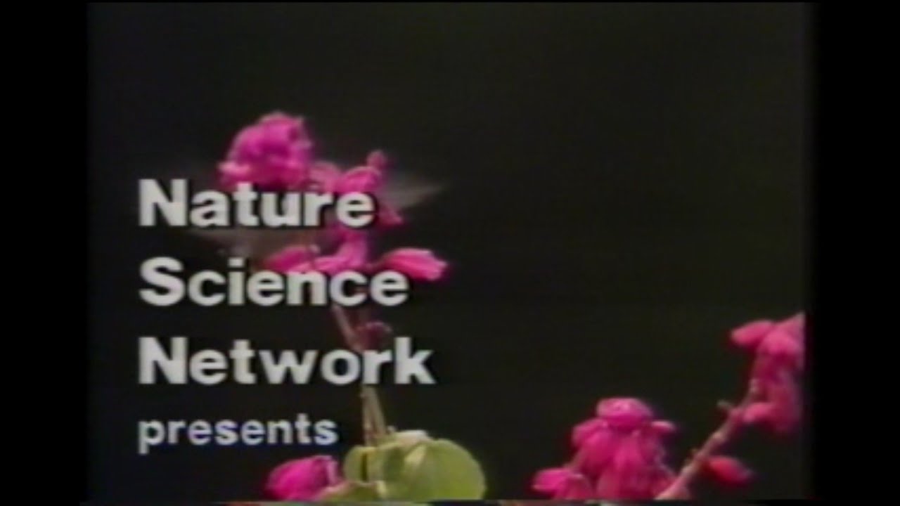 Attracting birds to your Backyard: with Roger Tory Peterson 1986- The VHS Bin #vhs