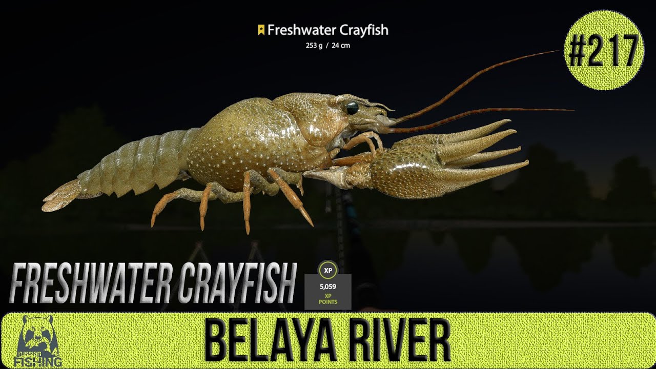 Russian Fishing 4 - Belaya River - Freshwater Crayfish Trophy - #217