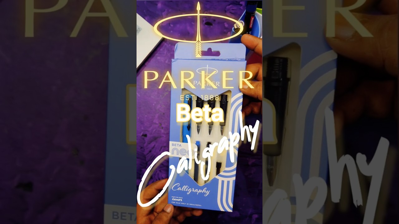 Parker Beta Calligraphy Fountain Pen 