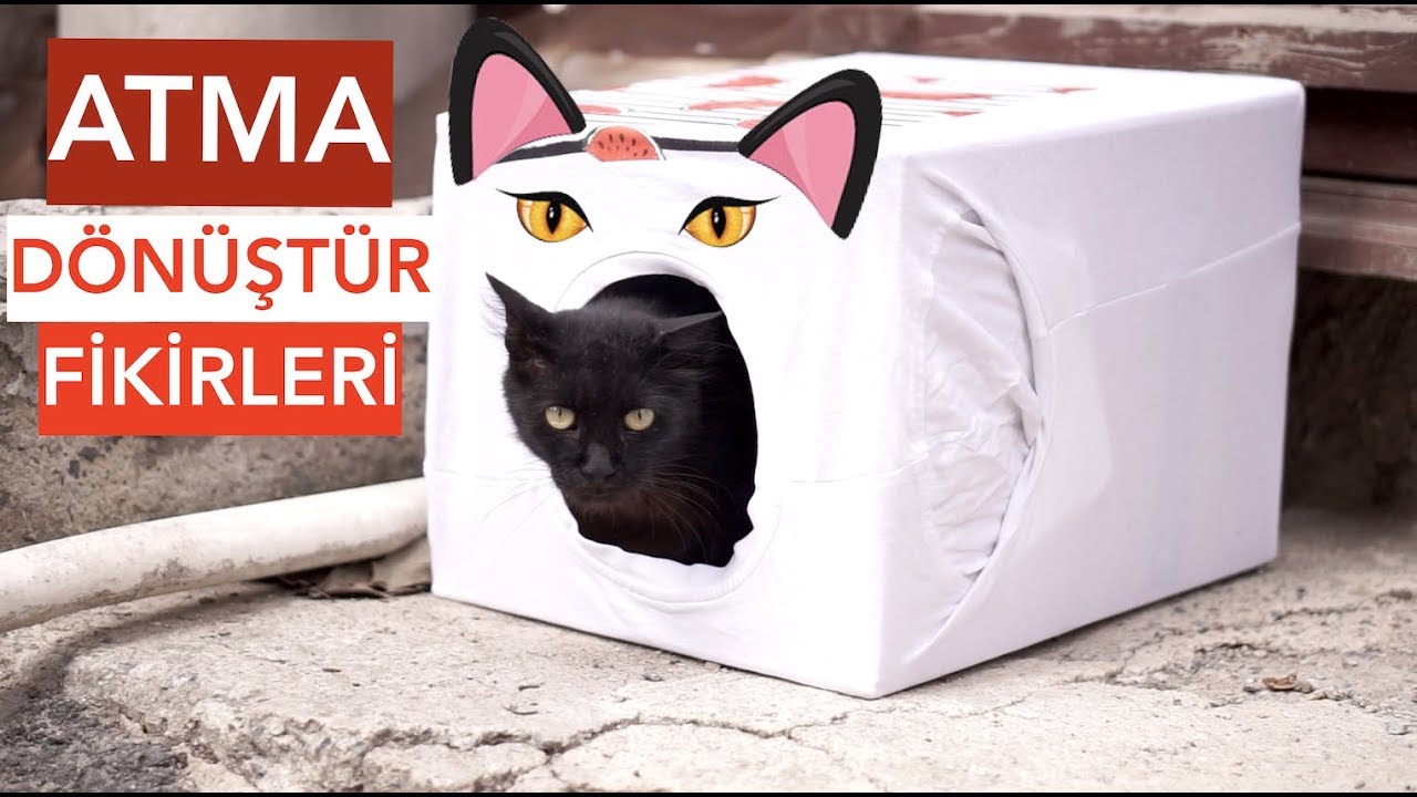 ATMA DÖNÜŞTÜR 6 I SOKAK HAYVANLARI İÇİN PROJELER