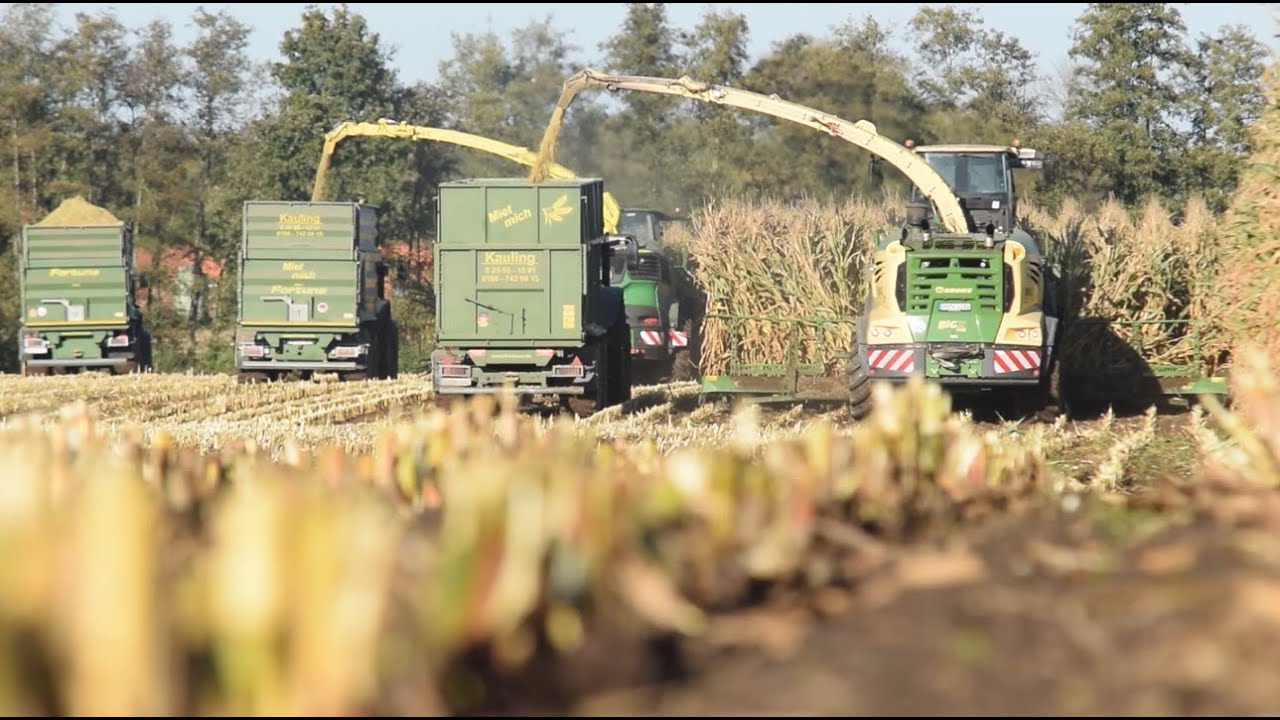 Maisernte 2021🎥🌽 [4K] BigX1180 & JD9700i