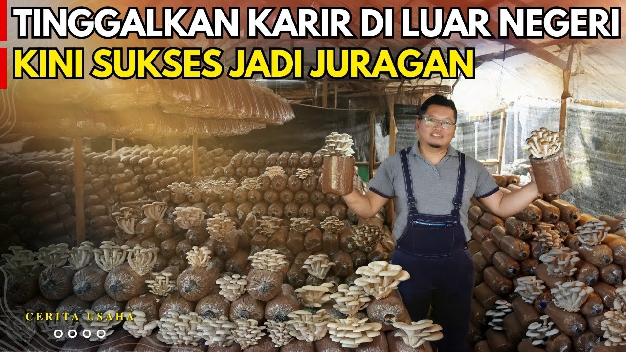 TINGGALKAN KARIR DI LUAR NEGERI KINI SUKSES JADI JURAGAN JAMUR | CERITA USAHA