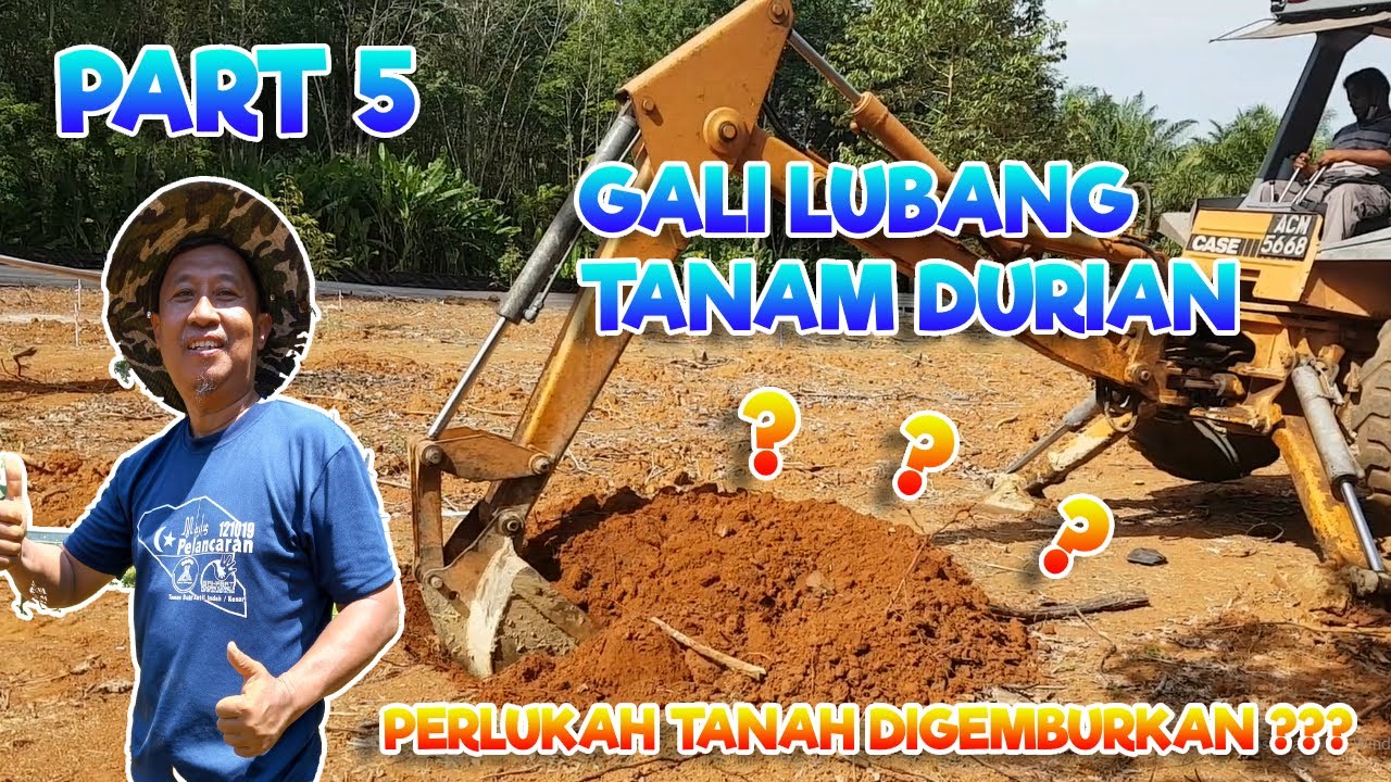 EPISOD 5 | GALI LUBANG UNTUK TANAM DURIAN.   PERLUKAH GEMBURKAN TANAH?