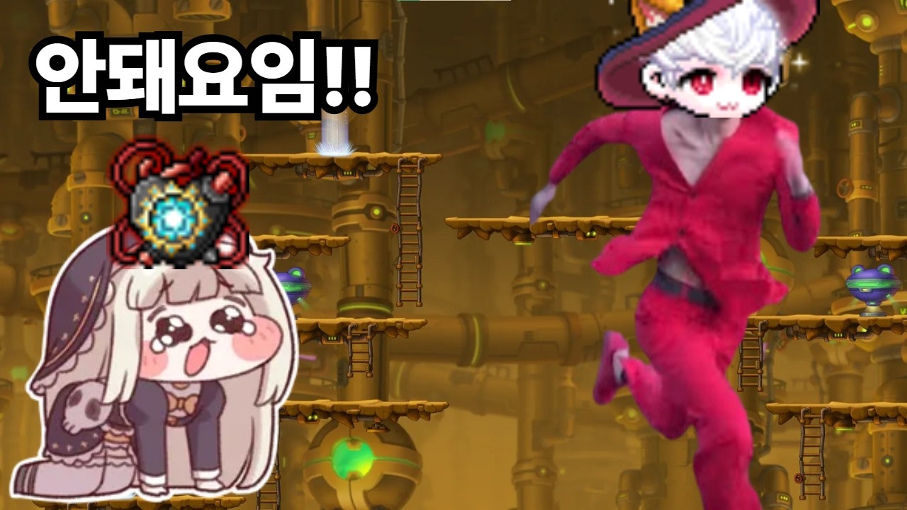 메이플 최적화 지능 보유자 [메이플]