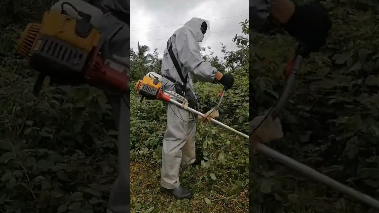 Linis muna ng Lote gamit ang grass cutter 