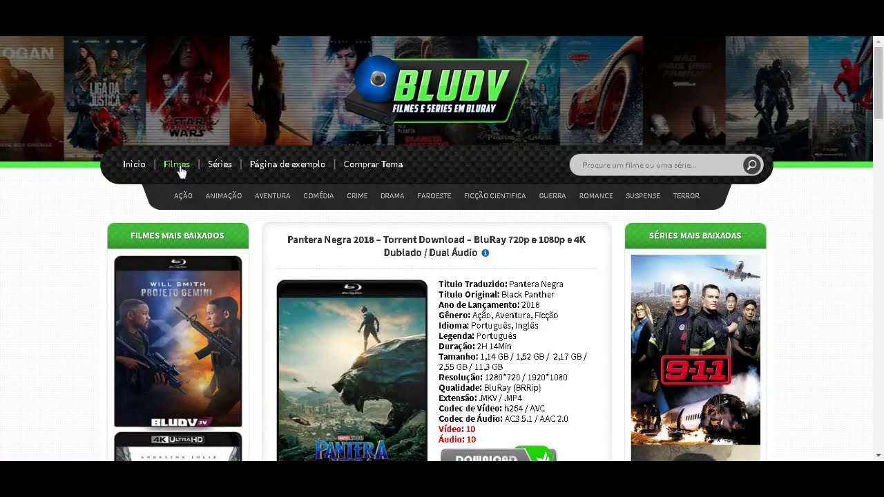 BLUDV  - Tema WordPress Responsivo