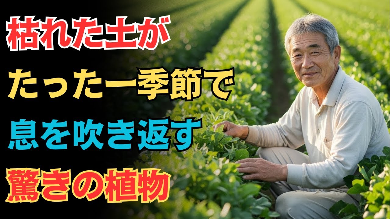 枯れた土が蘇る魔法の植物10選。肥料なしで土が生き返る驚きの再生術。一季節でふかふかの土に変わる