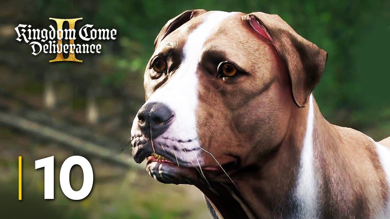 ORZECH | Kingdom Come: Deliverance 2 | Odcinek 10