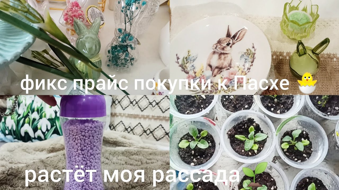 ФИКС ПРАЙС ПОКУПКИ ДЛЯ ПАСХИ 🐣 ПОКУПКИ ОЗОН