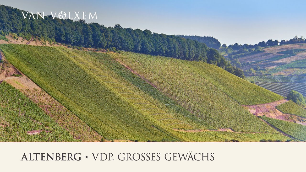 Weingut Van Volxem - die Lage 