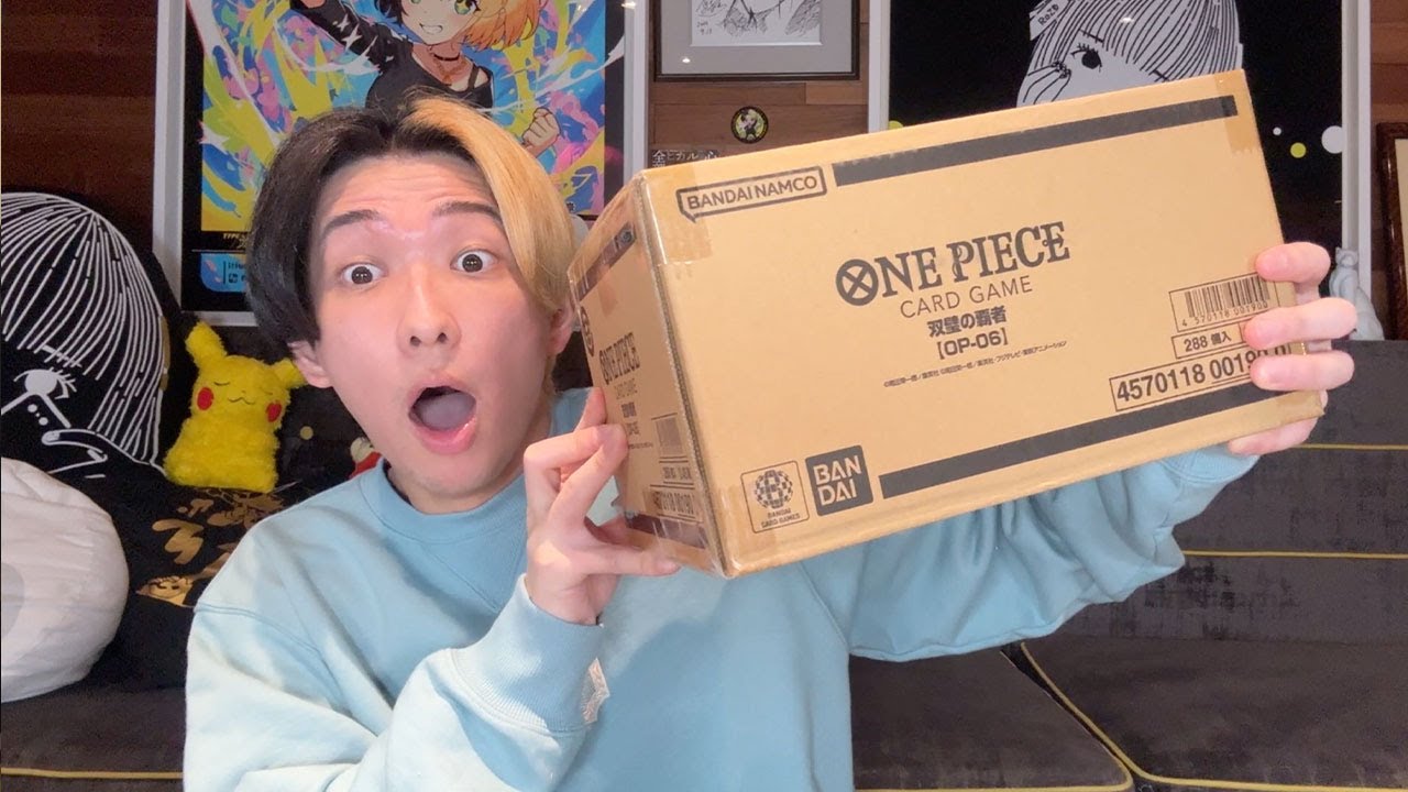 ONE PIECEカード最新弾の双璧の覇者を1カートン開封します！！！