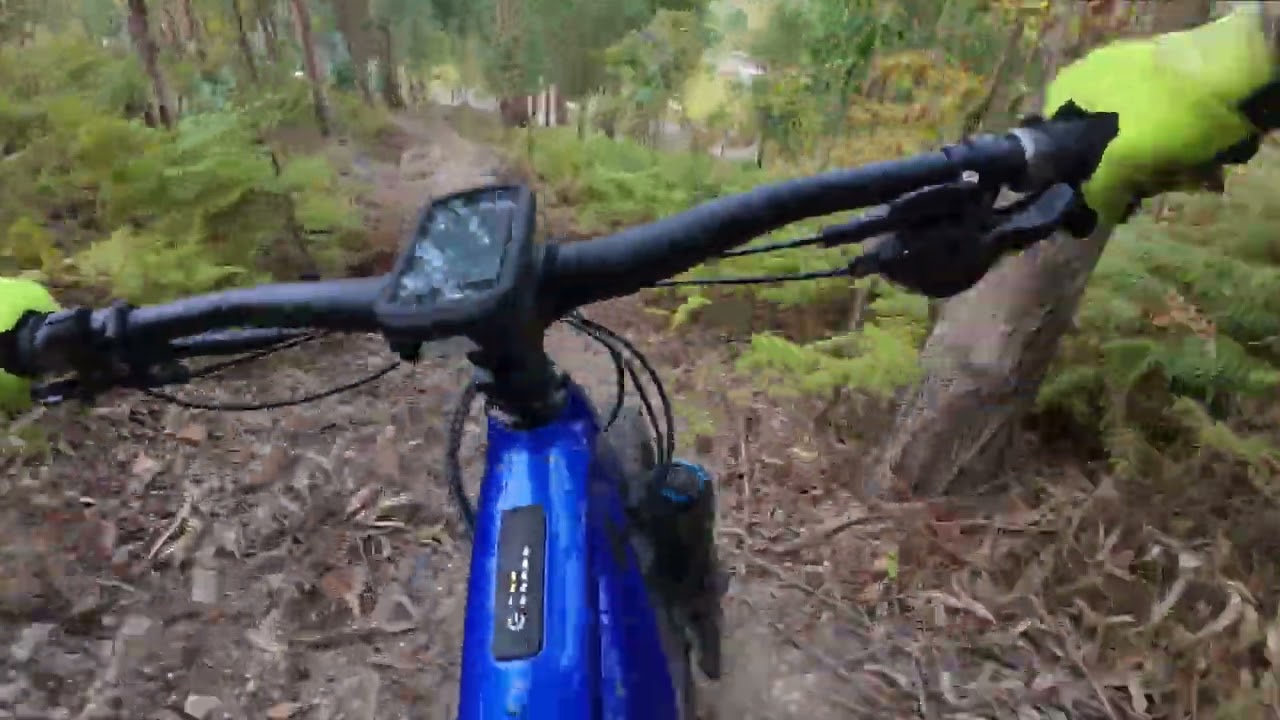 Pistas Revinhade Felgueiras - Giant Reign E+ 3 #emtb #dji #djiosmoaction5pro #btt #felgueiras 🚴
