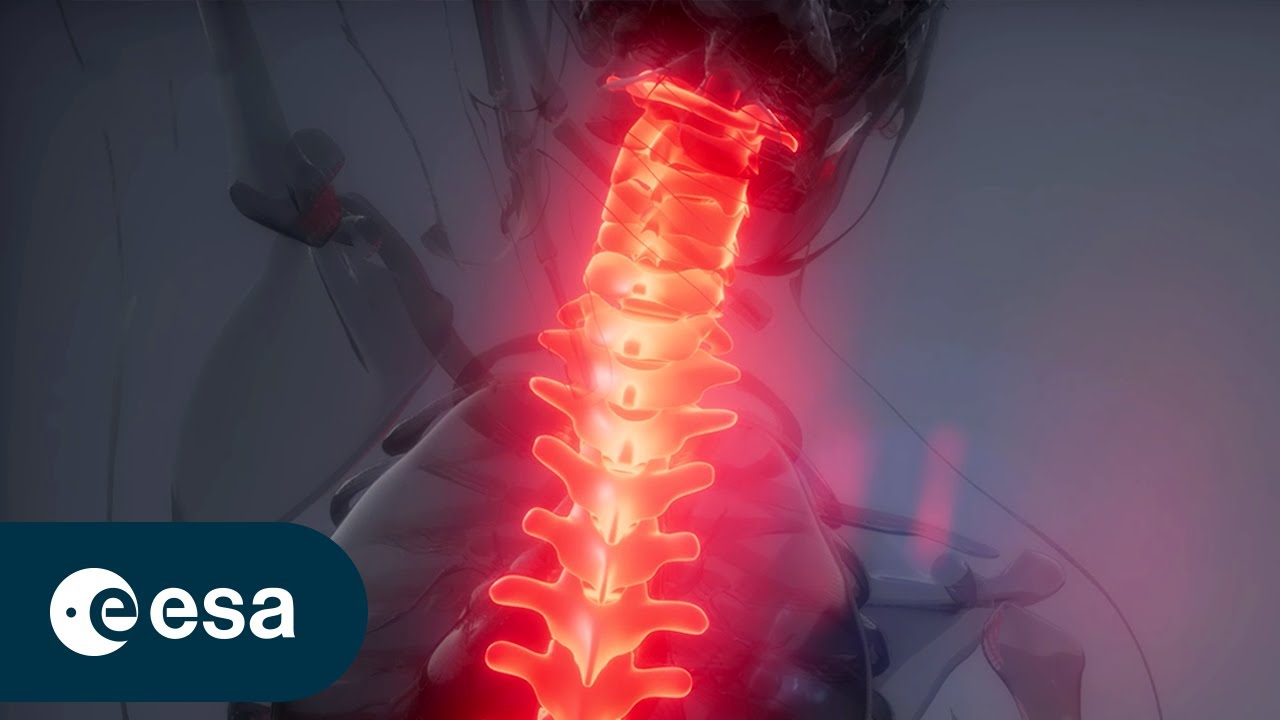 Muscle stimulation to enhance astronaut health