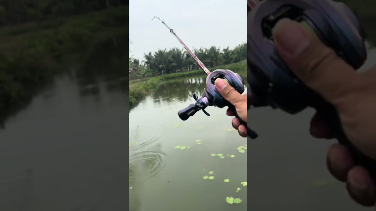 một ngày đi câu va phải hàng khủng
