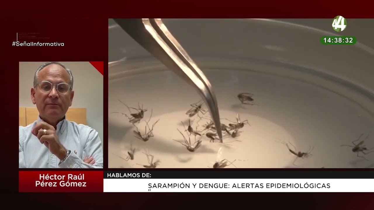Sarampi&oacute;n y dengue: Alertas epidemiol&oacute;gicas | H&eacute;ctor Ra&uacute;l P&eacute;rez G&oacute;mez