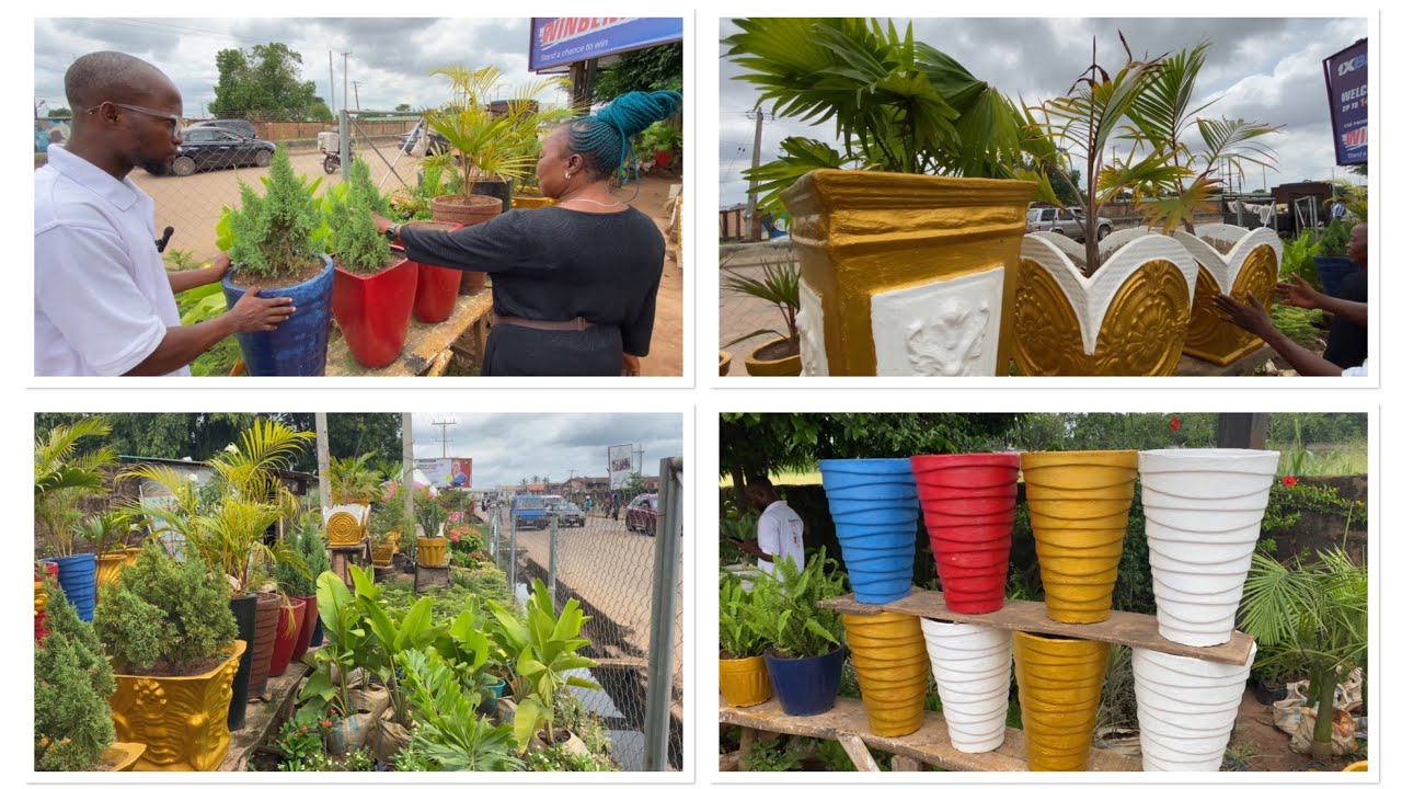 A VISIT 2 HORTICULTURIST GARDEN IN BENIN CITY WHERE U CAN BUY ALL UR BEAUTIFUL FLOWERS FOR UR GARDEN