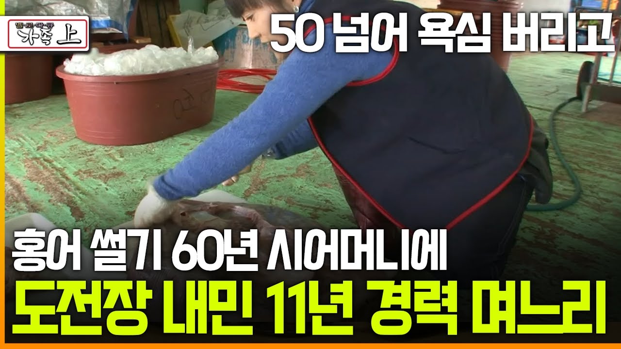 [멜로다큐 '가족' 204회上] 홍어 썰기 60년 시어머니에 도전장 내민 11년 경력 며느리