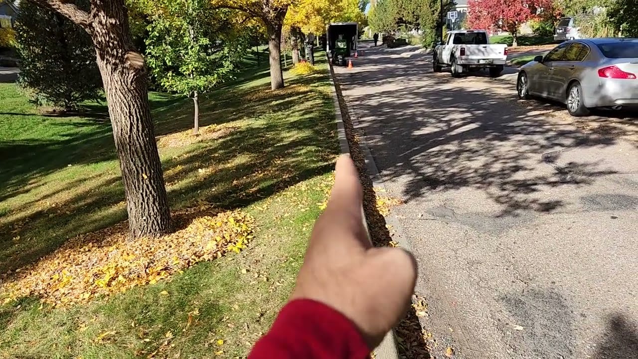 Mulch to Stop Mower Damage to Trees