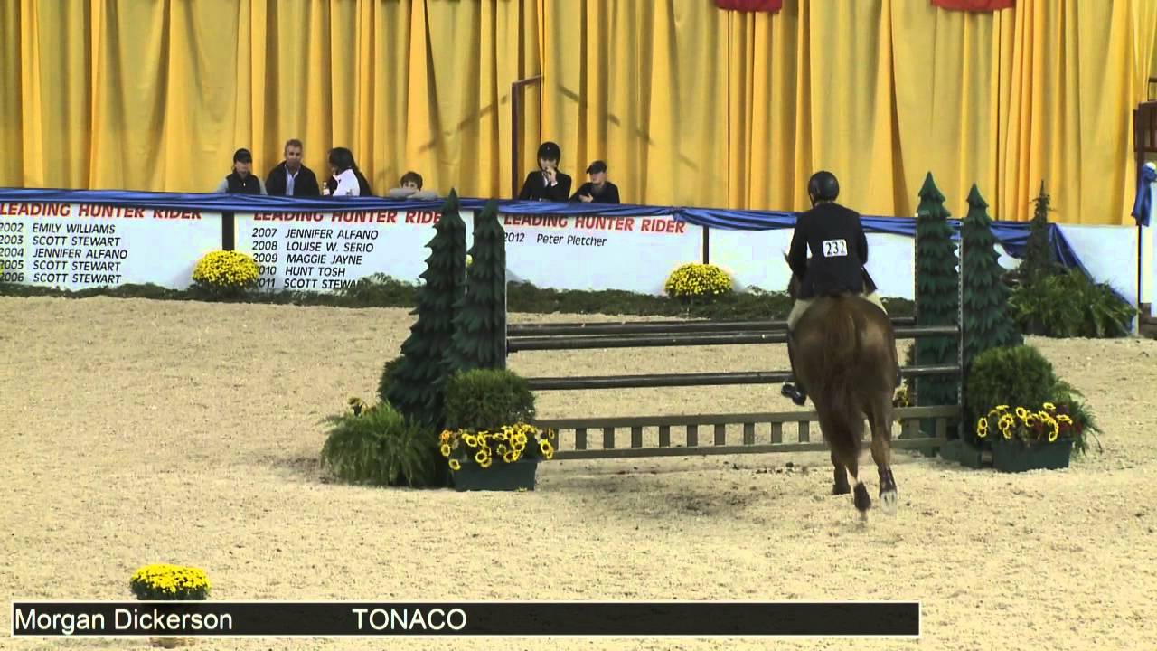 232 TONACO Morgan Dickerson, Class 48d Equitation Schooling D