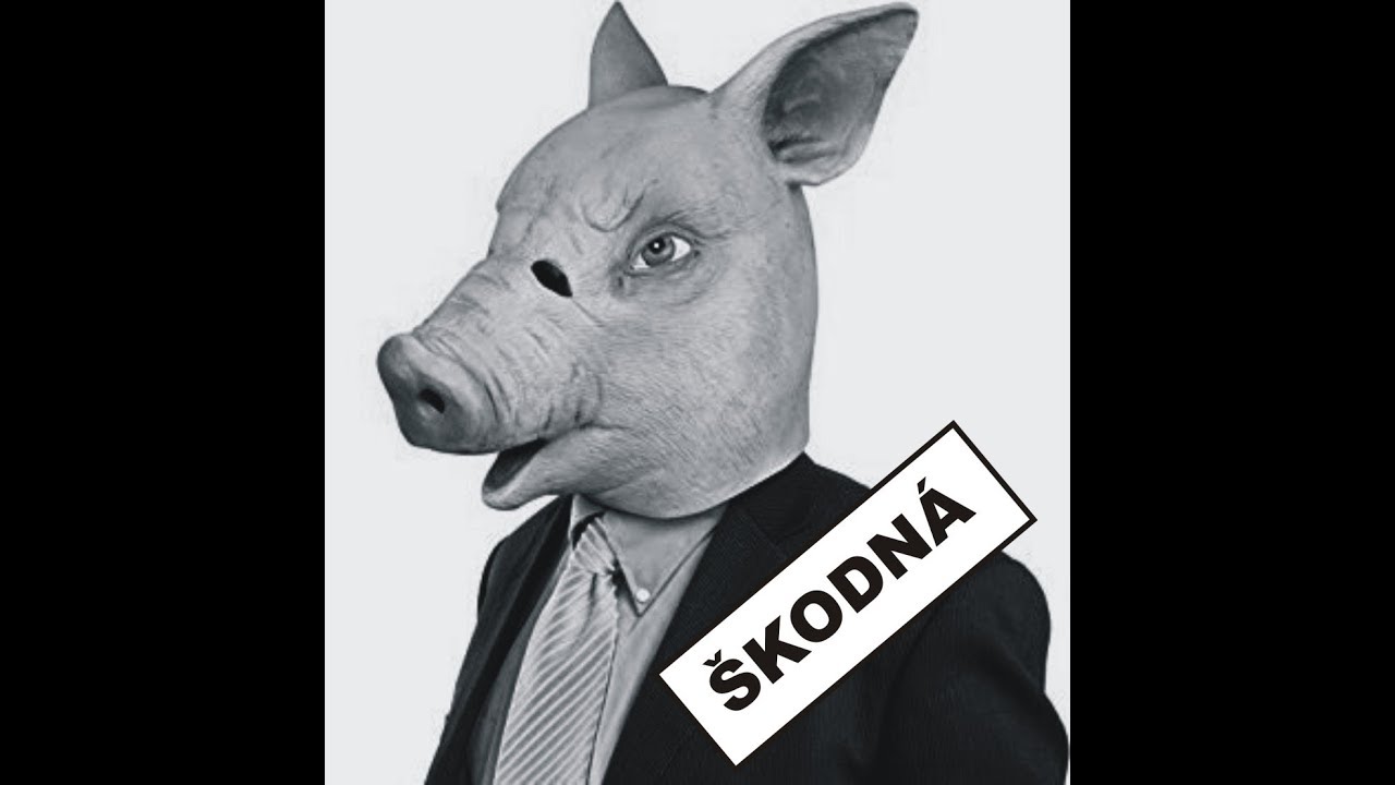 Igor Cvacho / Škodná