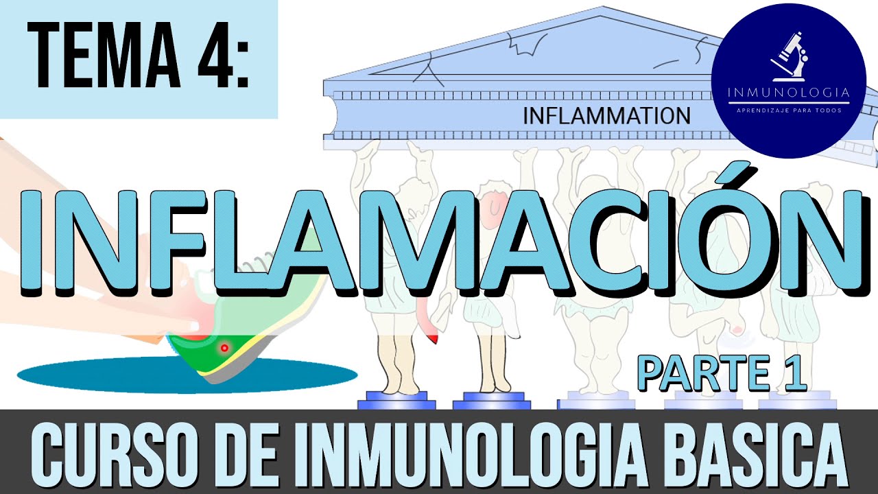Inflamaci&oacute;n Parte 1:  Signos Cardinales, Cambios Vasculares y Reclutamiento de Leucocitos