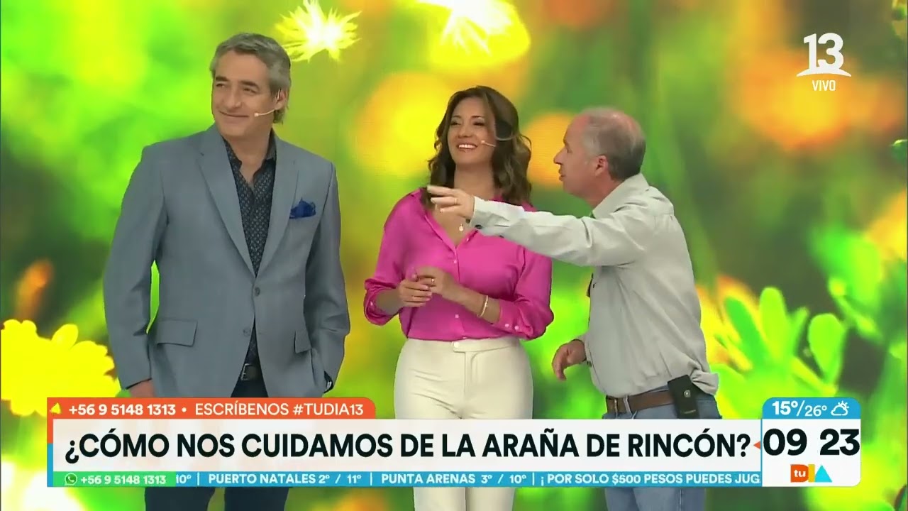 ¿Cómo nos cuidamos de las arañas de rincón? | Tu Día | Canal 13