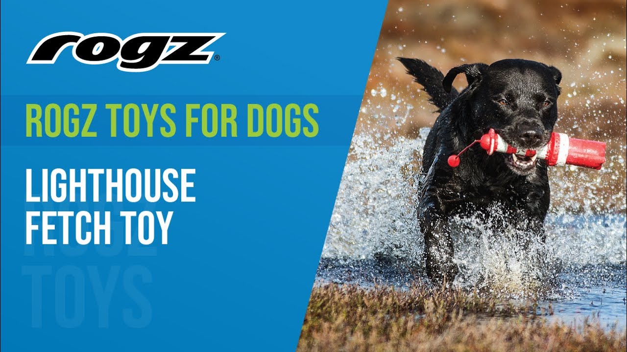 Rogz Toys for Dogs - Lighthouse Fetch Toy