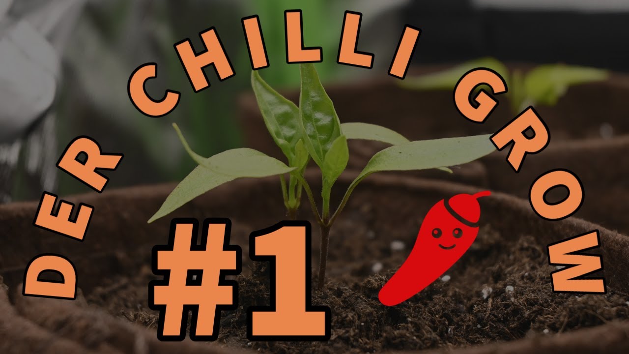 🌶 Der Chilli Grow #1 - Woche 2 Setupvorstellung