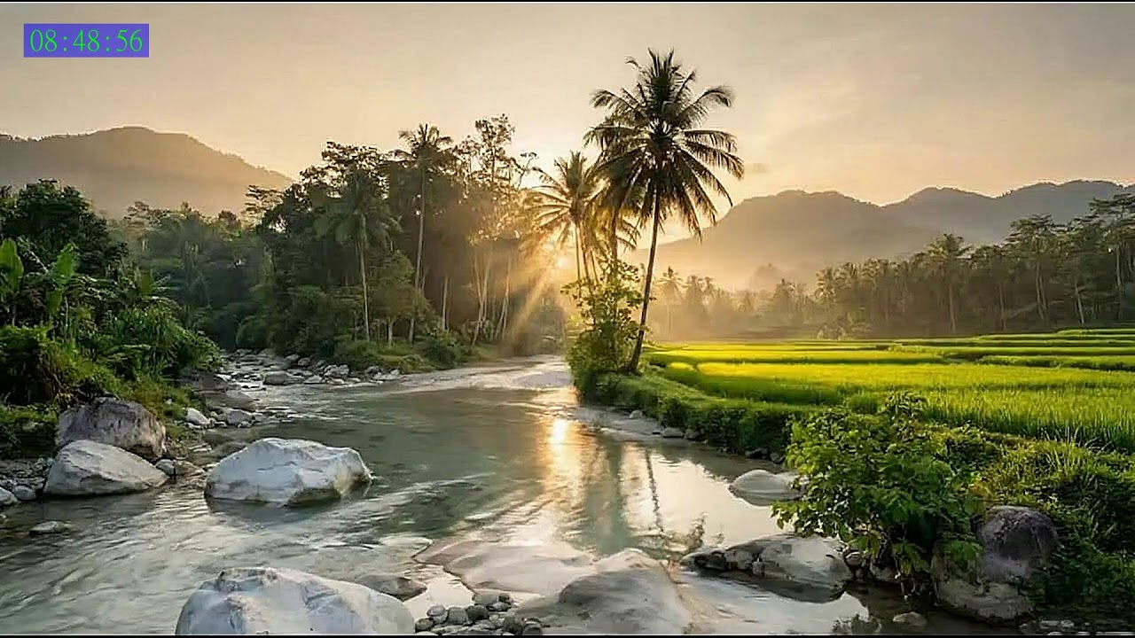 Deep Calm Sleep Sounds for Total Relaxation