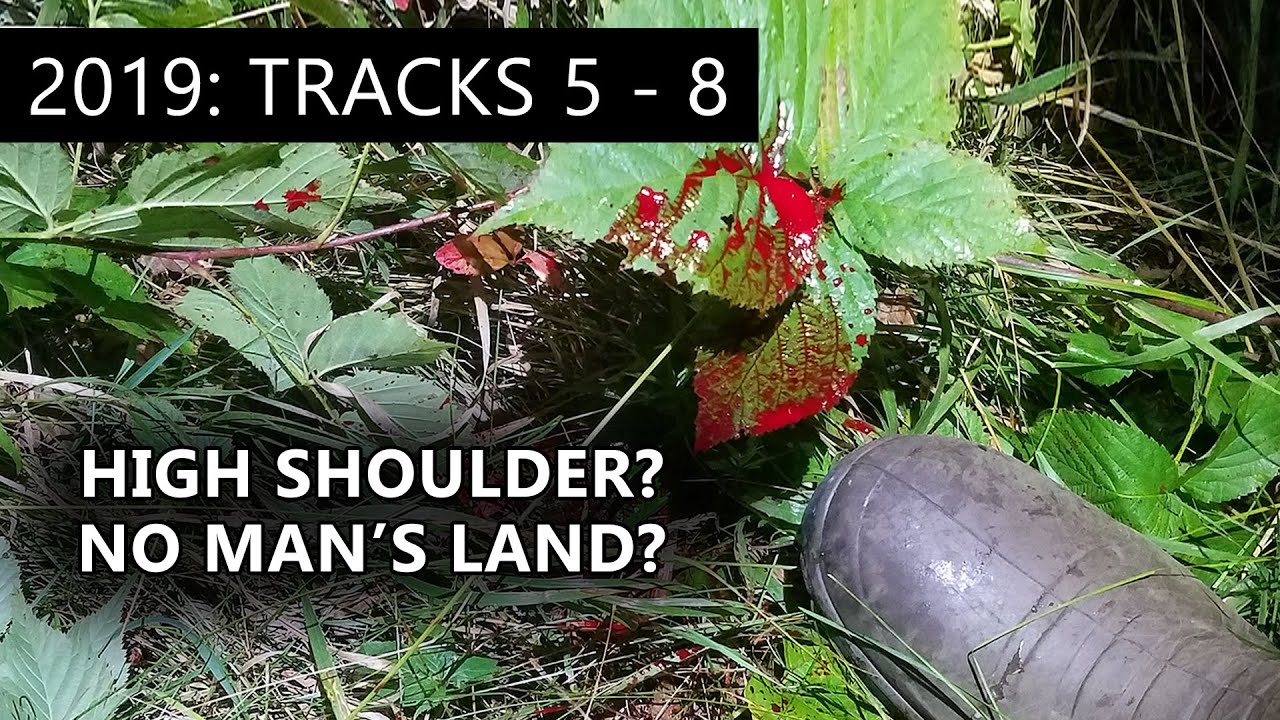 Tracking Deer Hit In 