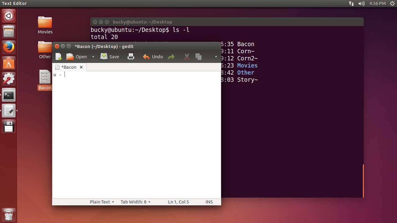 Linux Tutorial for Beginners - 8 - File Permissions