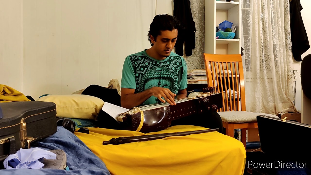 Sarangi tuning timelapse - 35 Sympathetic strings!