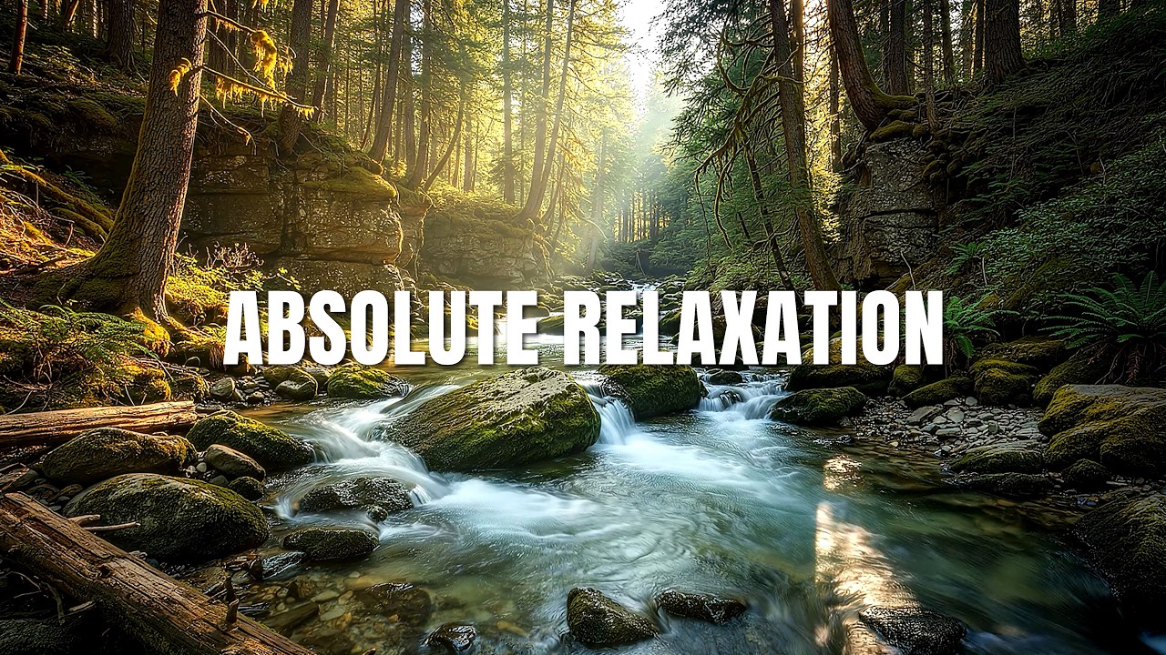 4K Cinematic Nature: Peaceful Forest Stream & Gentle Water Sounds for Stress Relief
