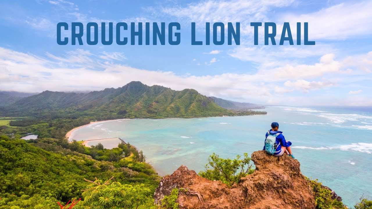 Why Crouching Lion Trail Is the PERFECT Oahu Hike for Beginners