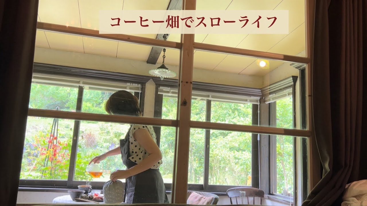 【60代女性】今年初収穫のコーヒー豆に異変が‼︎/アンティーク好きのライフスタイル/美味しい朝食が活力源/花数の少ない庭を照らす木漏れ日