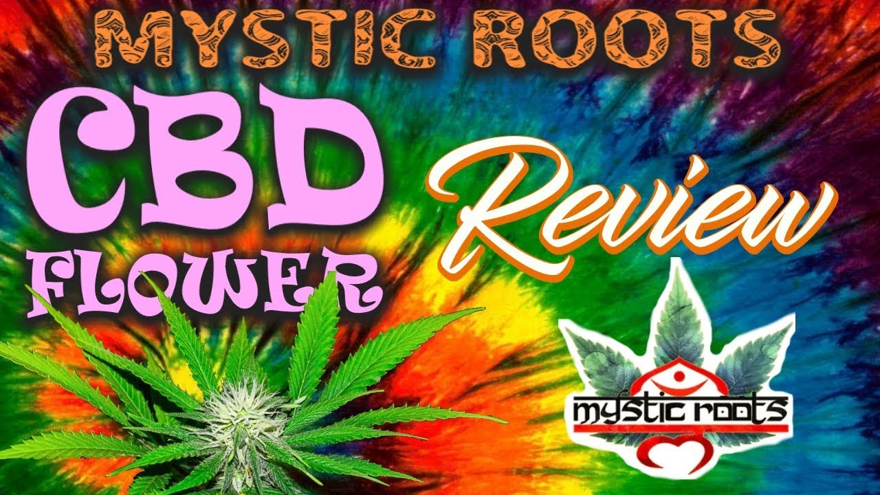 |Mystic Roots| CBD Hemp Flower Review [Lifter & SSC]